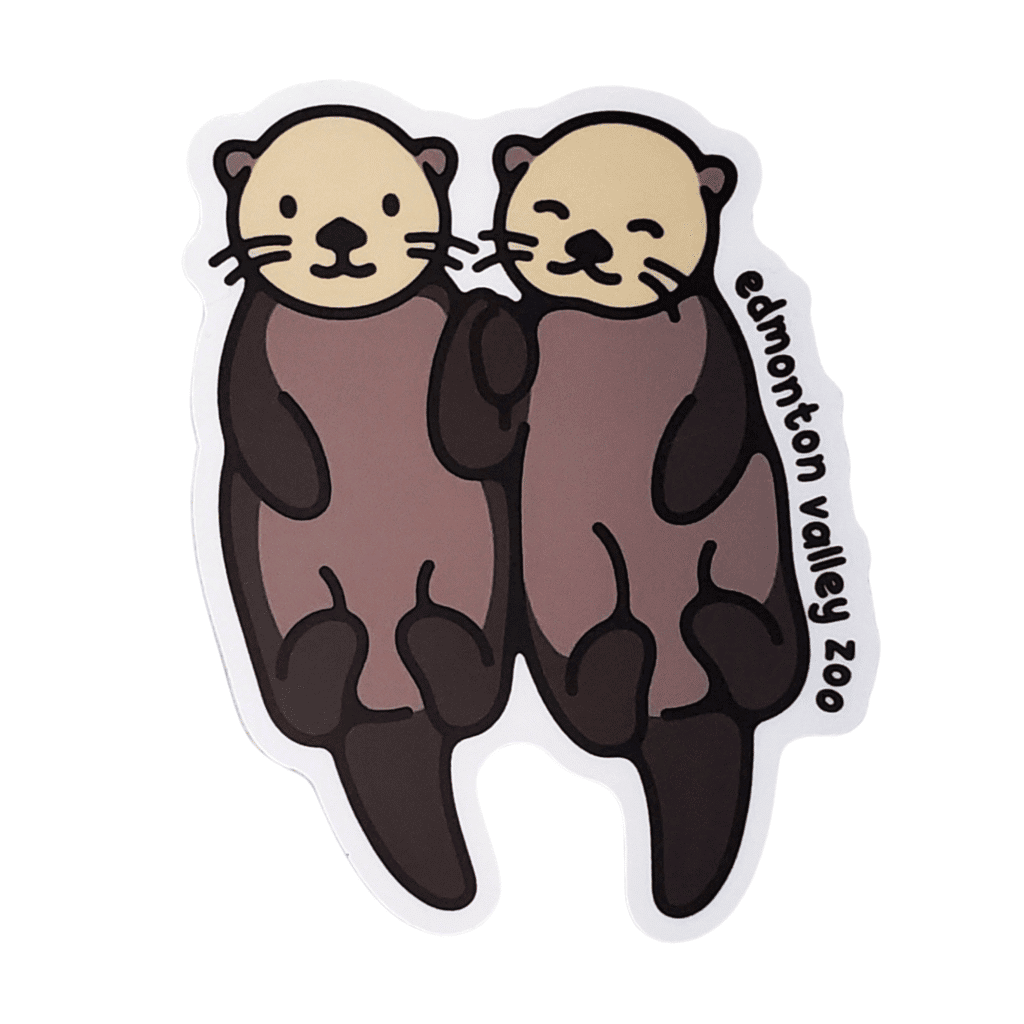Image of a pair of otters swimming together with Edmonton Valley Zoo along the side, made by stickers northwest