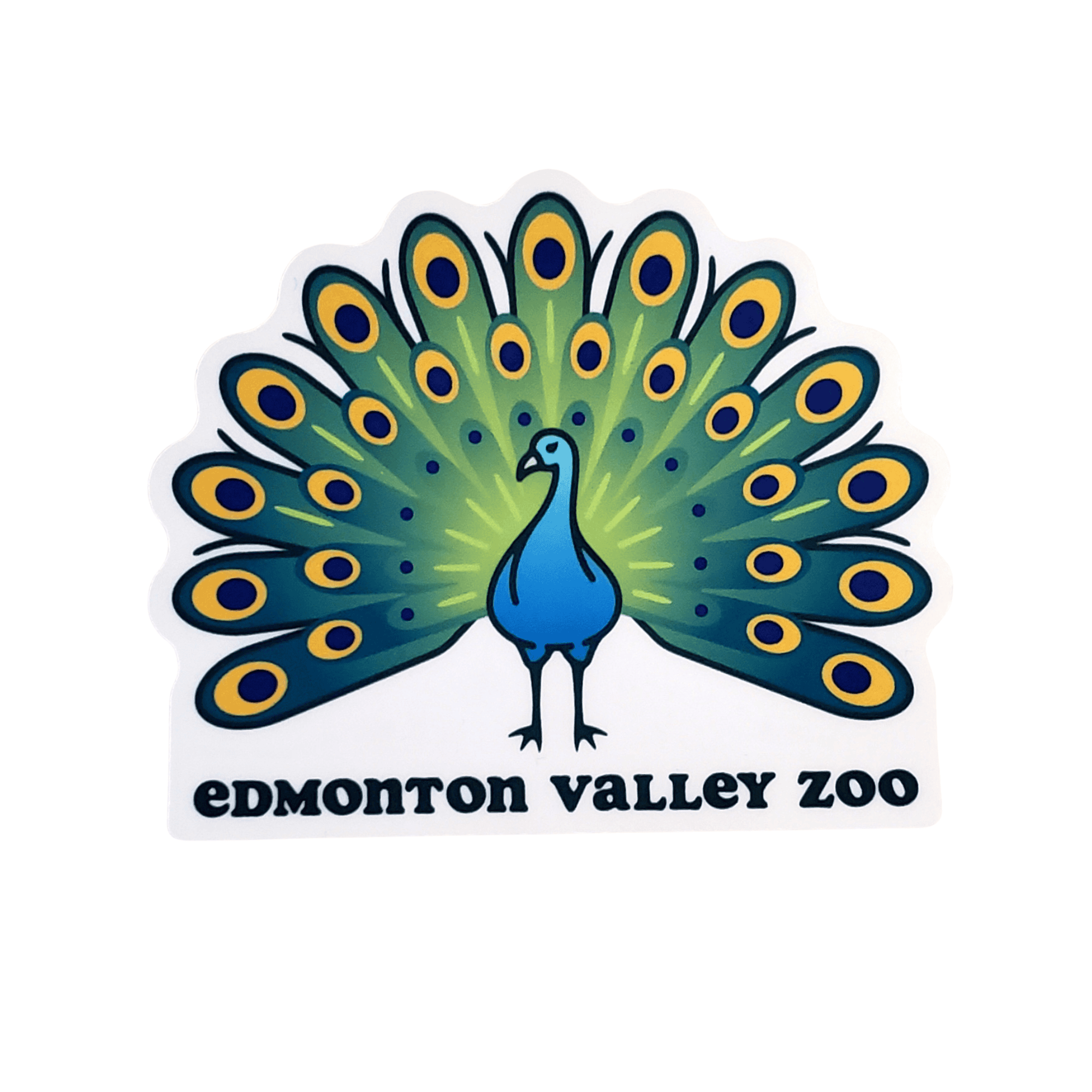 Image of a peacock with its feathers fanned out with Edmonton Valley Zoo underneath, made by stickers northwest