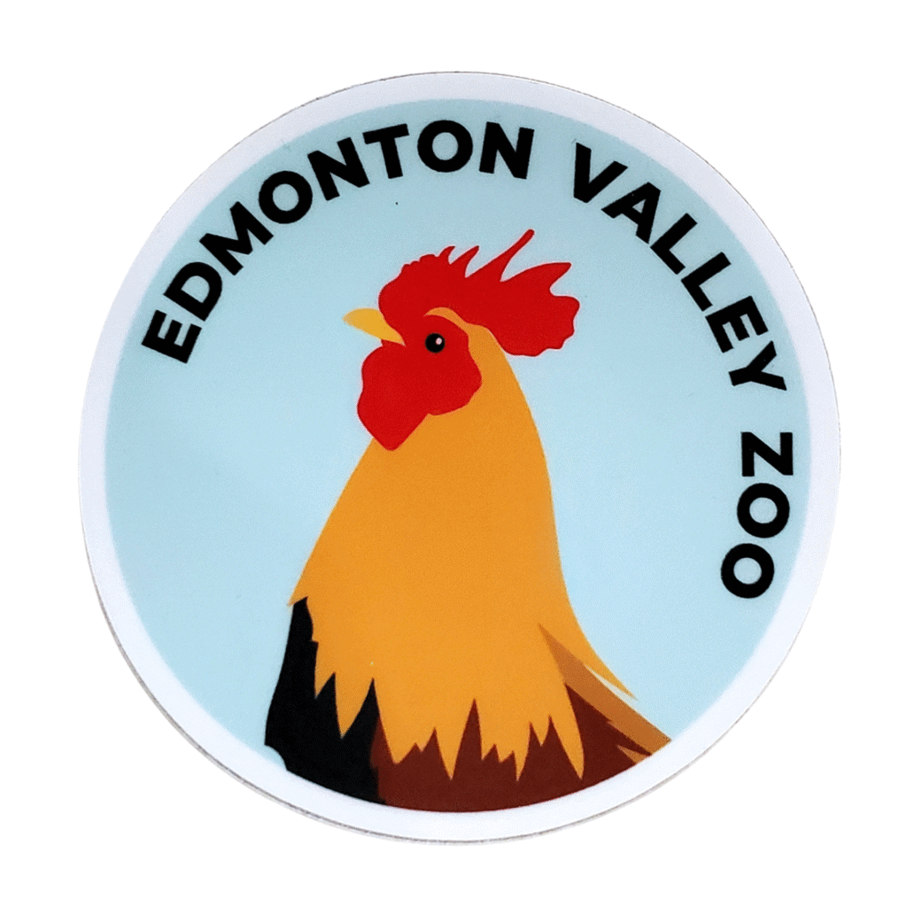 Image of a rooster inside a blue sticker with Edmonton Valley Zoo above
