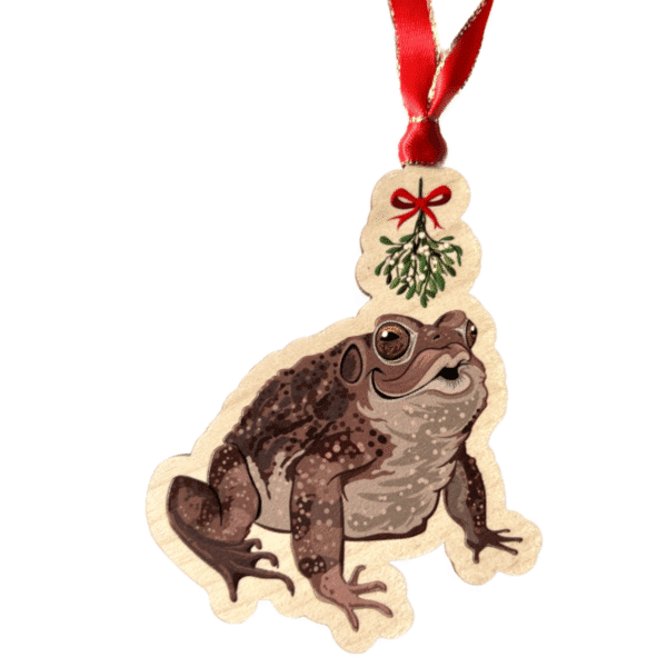 Image of an ornament of a toad under mistletoe by peppermint narwhal