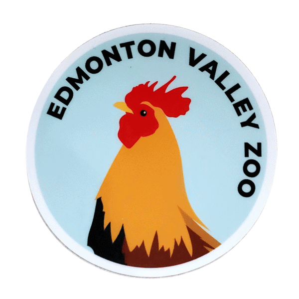 Image of a rooster inside a blue sticker with Edmonton Valley Zoo above