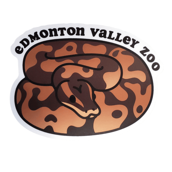 Image of a python curled up with Edmonton Valley Zoo above, made by stickers northwest