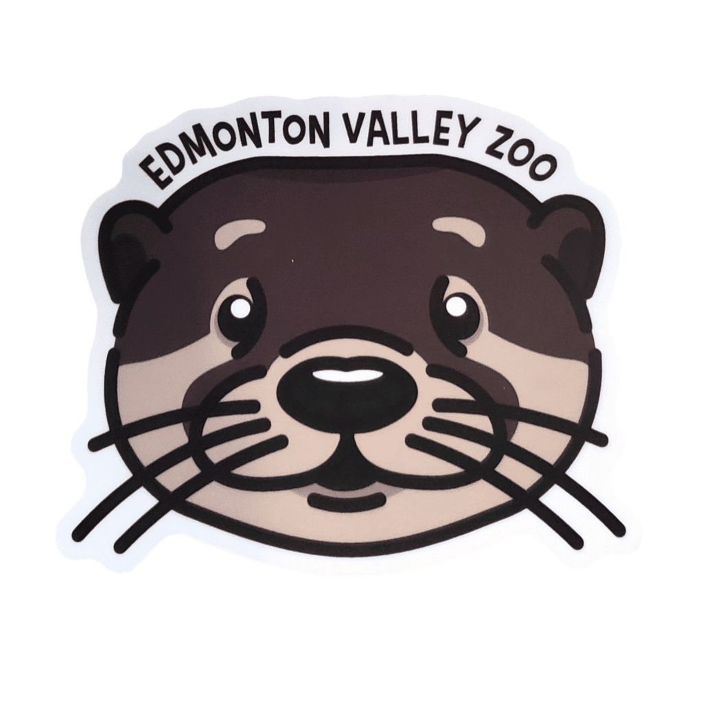 River Otter Face Image of a river otter face with Edmonton Valley Zoo above, made by stickers northwest