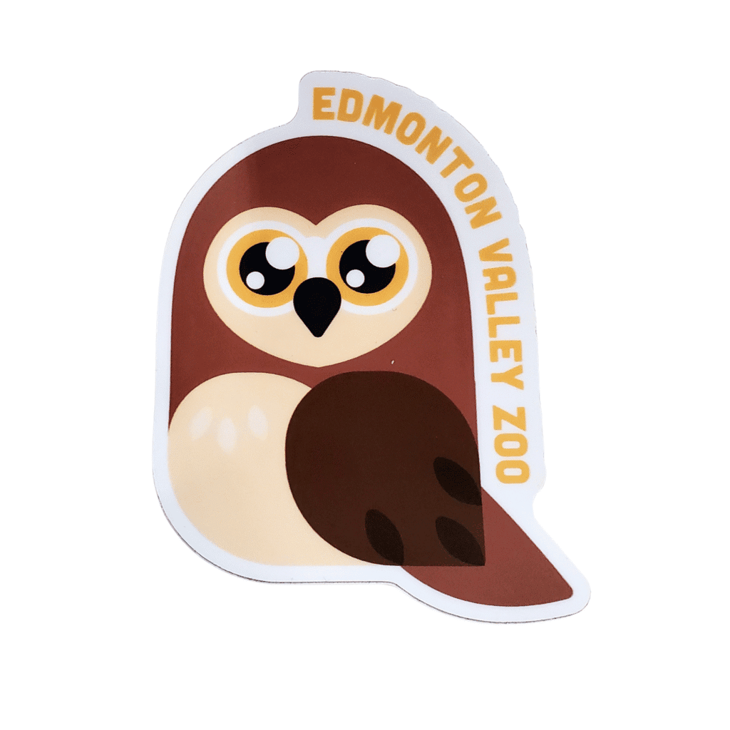 Sparkling Eyed Owl Image of an owl with large sparkling eyes with Edmonton Valley Zoo along the side, made by stickers northwest