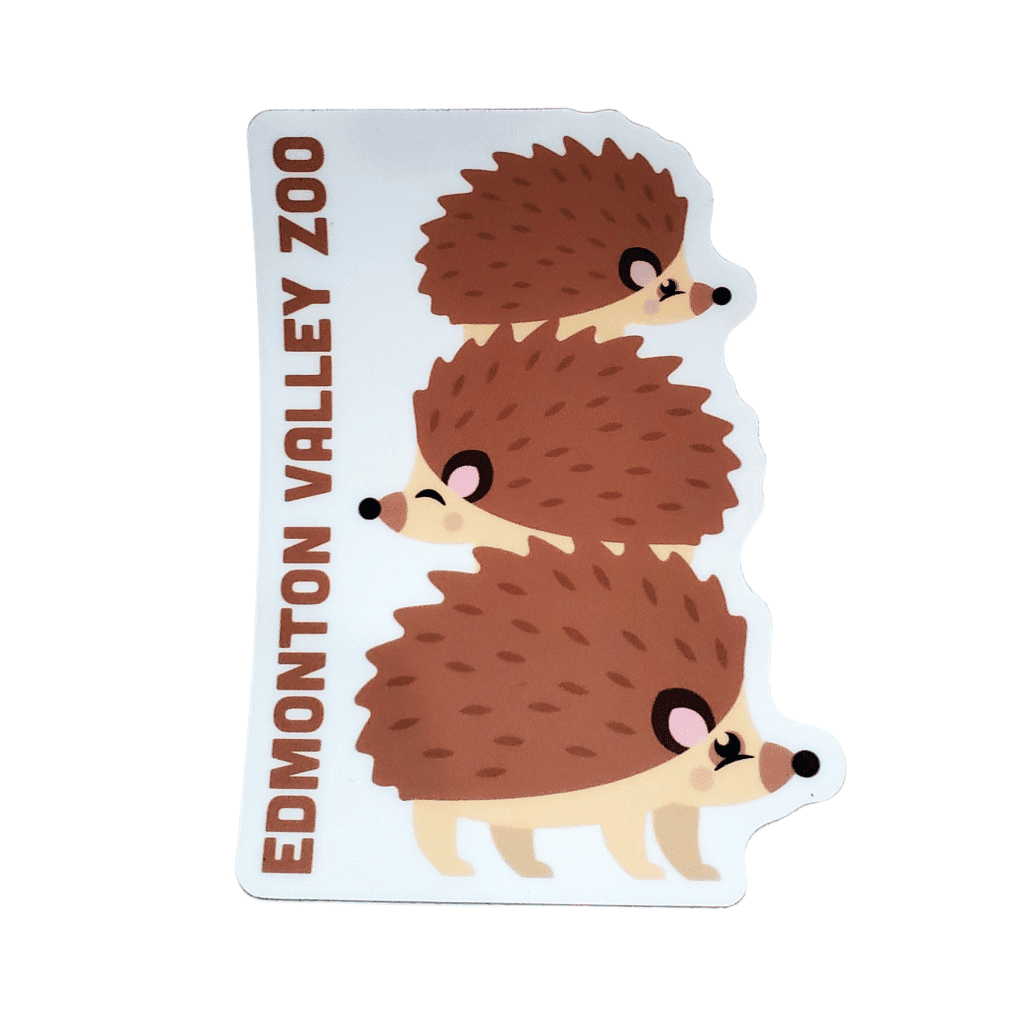 Image of three hedgehogs stacked on top of each other with Edmonton Valley Zoo along the side, made by stickers northwest