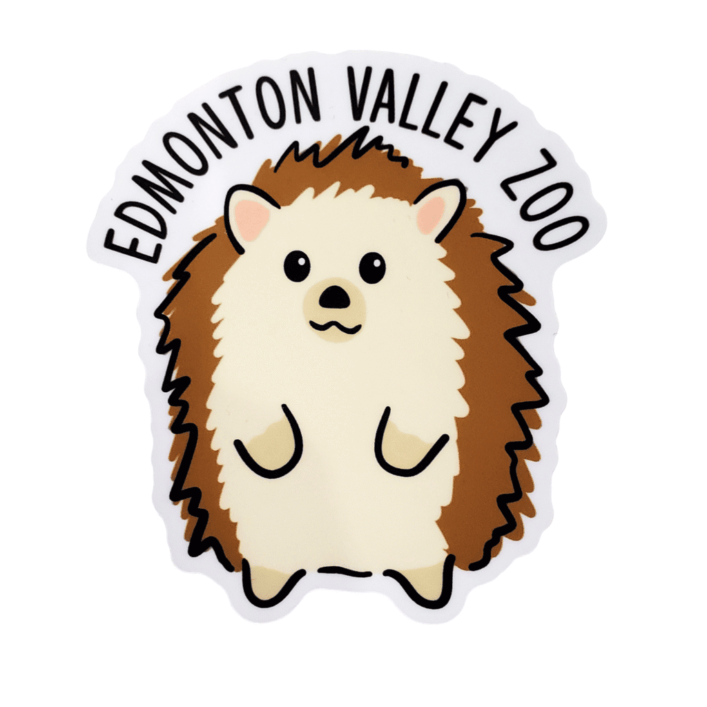 Standing Hedgehog Image of a hedgehog standing with Edmonton Valley Zoo above, made by stickers northwest