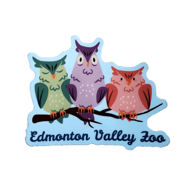 Image of three owls on a branch with Edmonton Valley Zoo underneath, made by stickers northwest