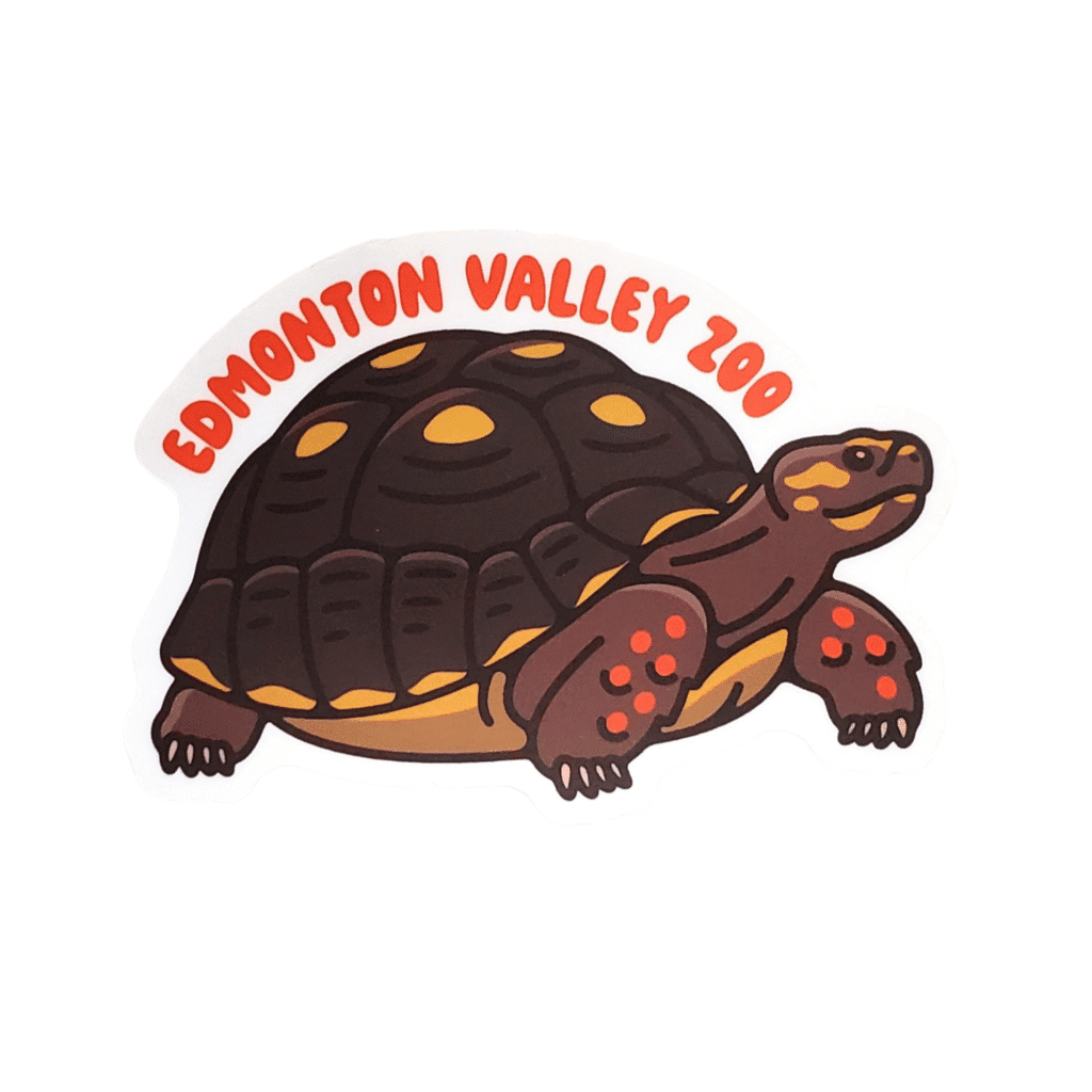 Tortoise Image of a tortoise with Edmonton Valley Zoo above, made by stickers northwest