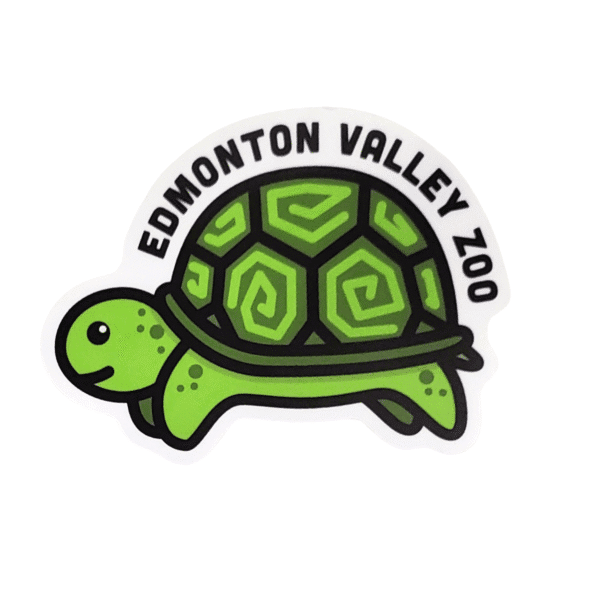 Image of a cartoon turtle with Edmonton Valley Zoo above, made by stickers northwest