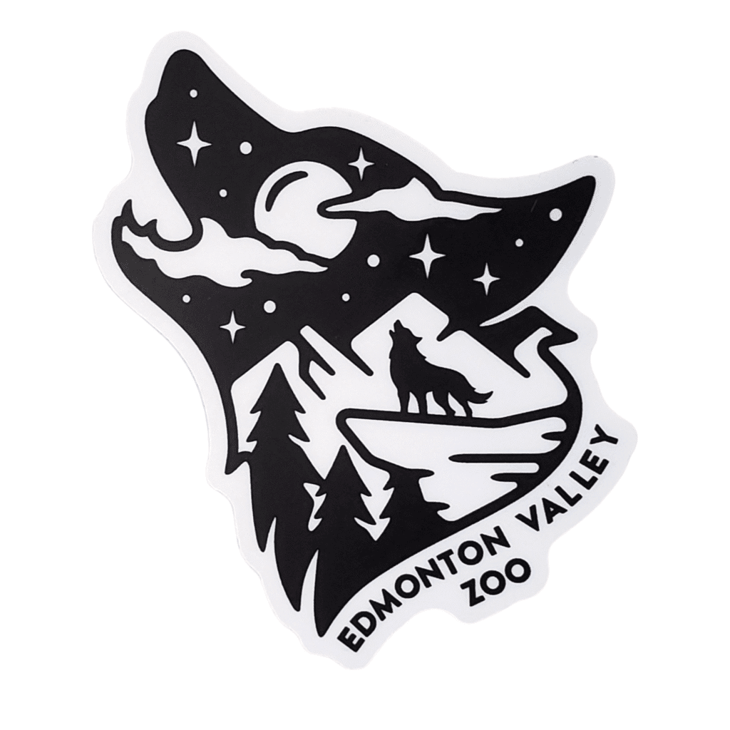 Wolf Howling Scene Image of a wolf silhouette howling with a image of another wolf howling on a cliff with Edmonton Valley Zoo below, made by stickers northwest