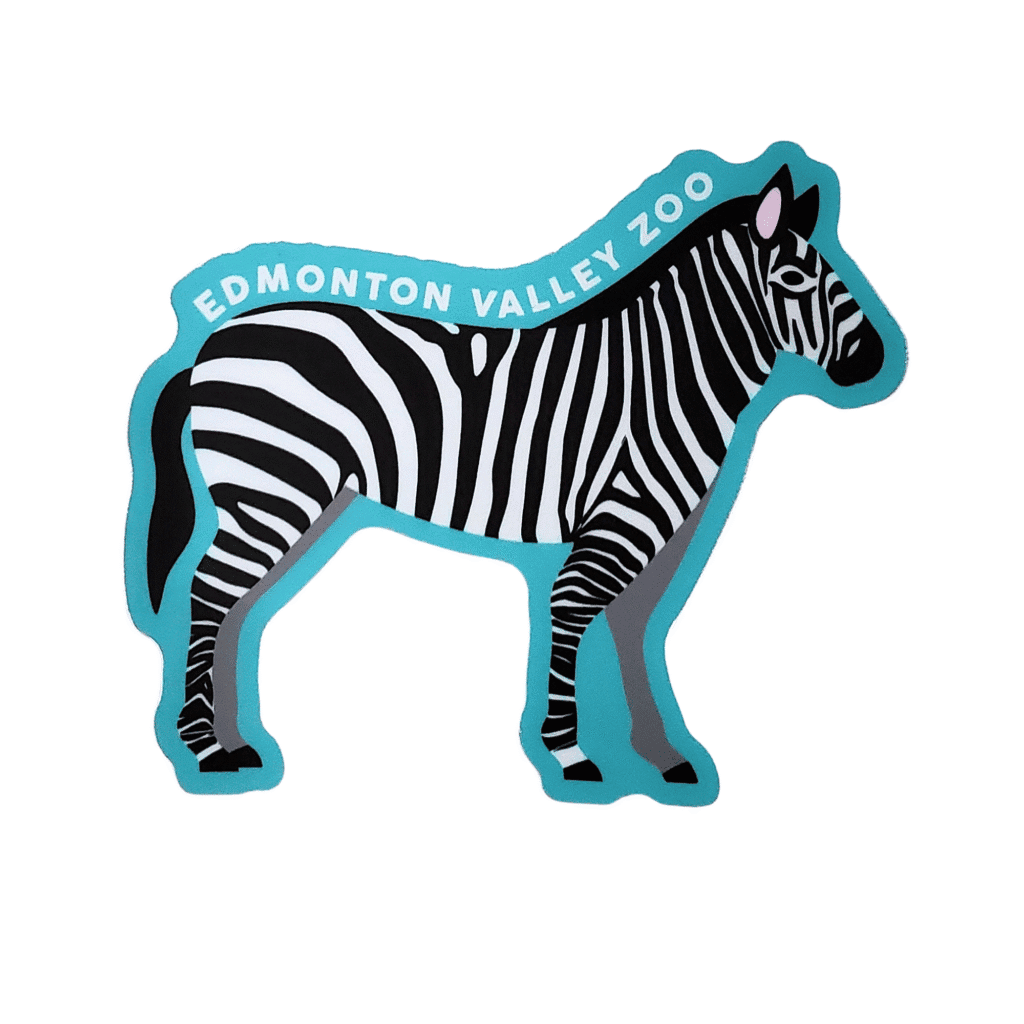 Image of a zebra with Edmonton Valley Zoo above, made by stickers northwest