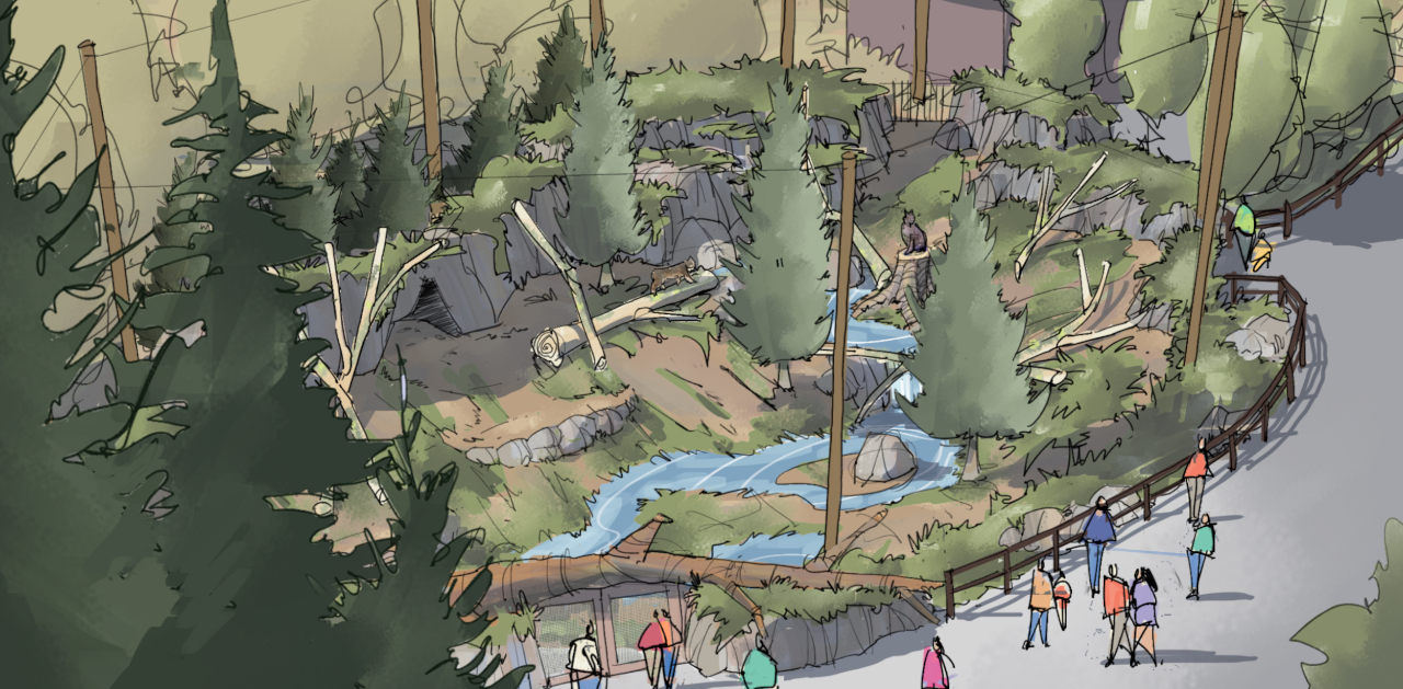 Project Carnivora lynx Habitat An artists rendering of the new Canadian lynx habitat, a part of Project Carnivora