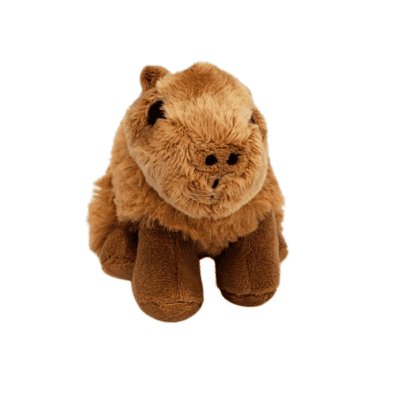 Image of brown capybara plush toy