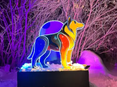An artist's rendering of the installation Neighbours of the North: a wolf on black background.