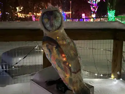 Owl An artist's rendering of the installation Night Flight, a glowing Owl.