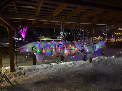 An artists rendering of the installation Hidden Giants: A sturgeon