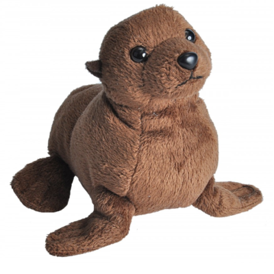Image of brown stuffed sealion